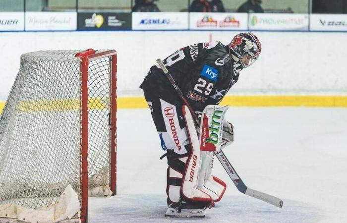 Eishockey. D1: Cholet rächt sich und gewinnt in der Verlängerung gegen Caen