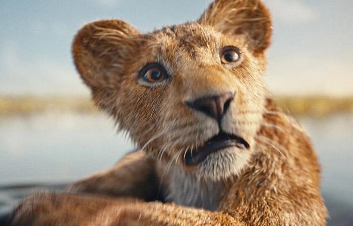 Nach der Premiere von „Mufasa“ denke ich, dass Disney mit der Produktion von Inhalten aufhören und sich wieder auf die Erstellung unvergesslicher Geschichten konzentrieren muss