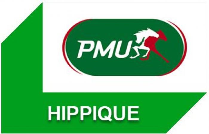 Quinté-Vorhersage des Tages (Samstag, 21. Dezember) in Paris-Vincennes: Prix d’Evreux, Quoten, Favoriten