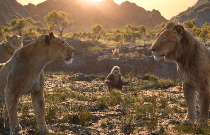 Mufasa: Singt Tahar Rahim wirklich im Disney-Film? – Kinonachrichten