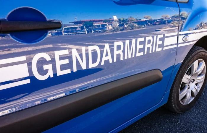 Ein 16-jähriger Junge wird verdächtigt, einen Achtzigjährigen in Frankreich vergewaltigt zu haben