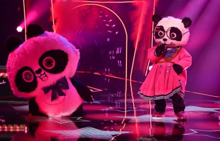 The Masked Singer 2024: Gewinner-Sensation! SIE war der Panda