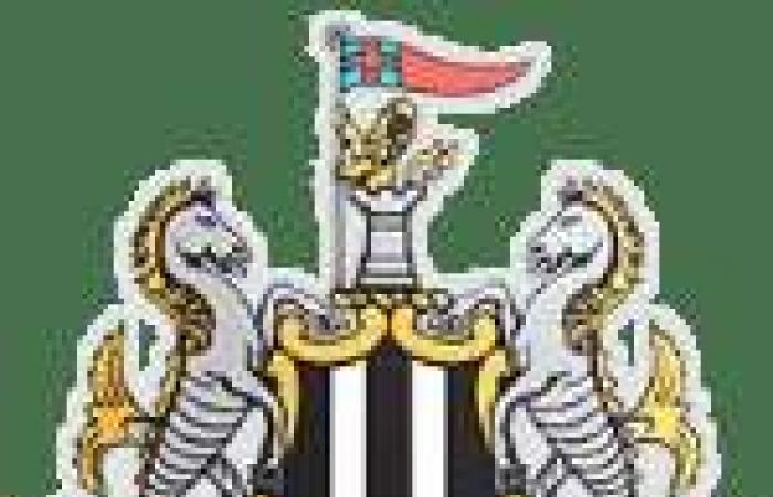 Nottingham besiegt Brentford, Newcastle besiegt Ipswich – Premier League – J17 – Zusammenfassung