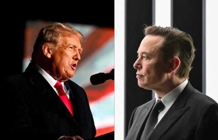 Elon Musk, Big Brother (von Trump)