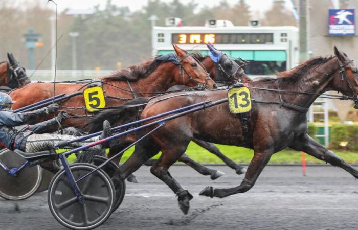 PMU – Ankunft der Quinté am Samstag, 21. Dezember in Paris-Vincennes: Traumtag, auch bei Regen