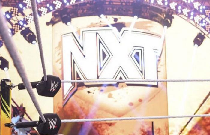 Spoiler: WWE NXT-Ergebnisse vom 31. Dezember 2024