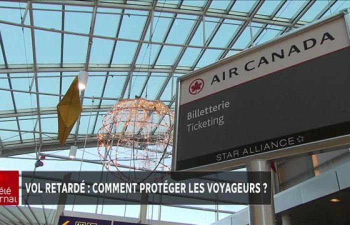 Der lange Kampf des Einwohners von Ottawa um eine Entschädigung durch Air Canada