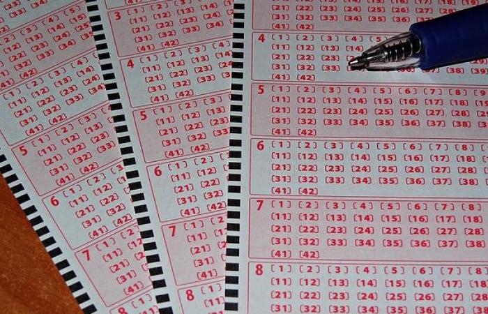 Loto: Diese Zeichen haben die Chance, diesen Samstag, den 21. Dezember 2024, den Jackpot zu knacken