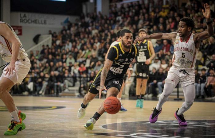 Stade Rochela muss gegen Le Mans auf Sessoms und Niziol verzichten