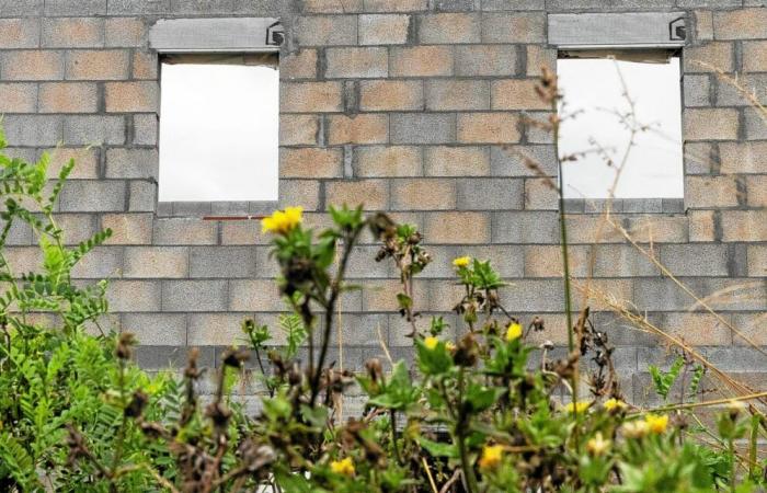 Verrückte Preise, Stillstand auf den Baustellen: Rennes trägt die Hauptlast der Immobilienkrise