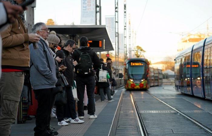 Besucherzahlen, Servicequalität, Sicherheit: Wie lautet die Bilanz ein Jahr nach der Einführung des kostenlosen öffentlichen Nahverkehrs in Montpellier?