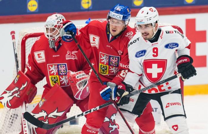 „Wir sind in der Lage, uns an jede Linie anzupassen“ – Lausanne HC