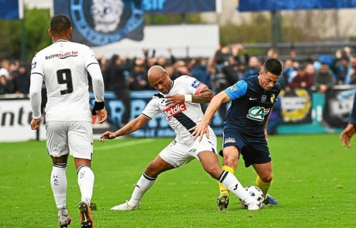 Coupe de France „Saint-Brieuc hat seine Qualifikation verdient“, „Wir haben nicht einmal ein Fußballspiel gespielt“… Die kalte Wut von Mathieu Bodmer (Le Havre)﻿