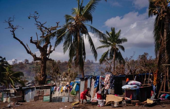 Mayotte | Eine Woche nach dem Zyklon Chido warten die Bewohner immer noch auf Hilfe