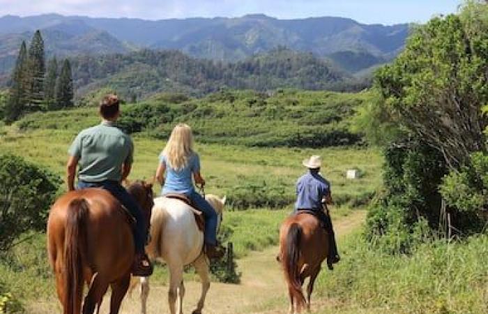 Hawaii: Die besten Aktivitäten in Honolulu