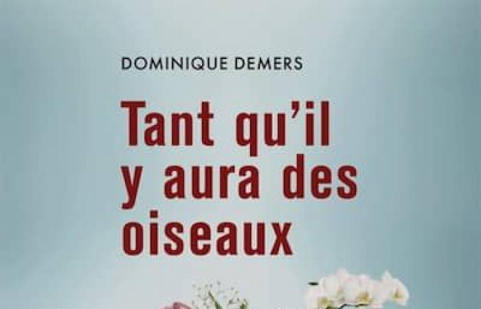 Hier sind 10 Quebec-Bücher, die Sie unter den Weihnachtsbaum legen können