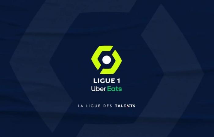 Tragödie in der Ligue 1: Nantes-Fan stirbt durch Messerstecherei