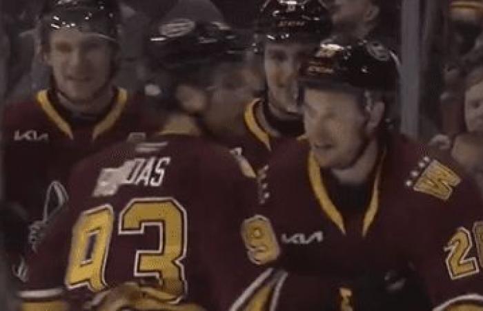 Mit 26 Jahren schießt der Quebecer Jordan Martel in seinem ersten Spiel in der AHL zwei Tore!