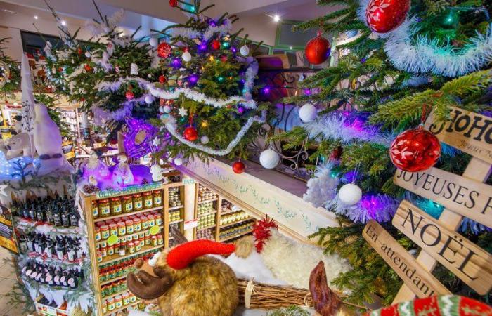 Tauchen Sie ein in die Traditionen und feiern Sie das Weihnachtsöl in Oulibo in der Nähe von Narbonne