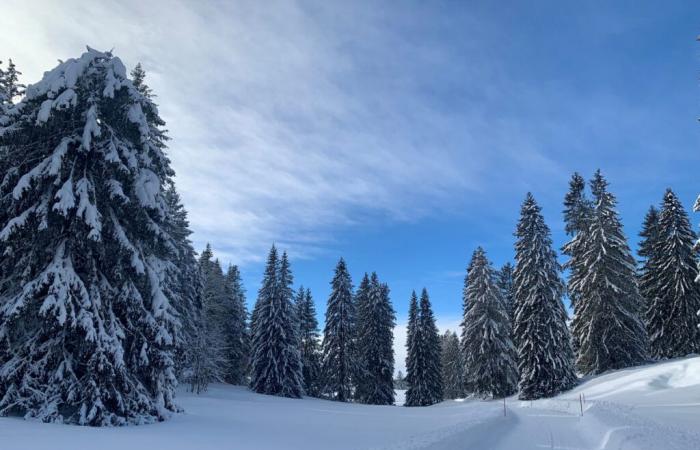 Der Jurabogen unter dem Schnee, während Weihnachten naht