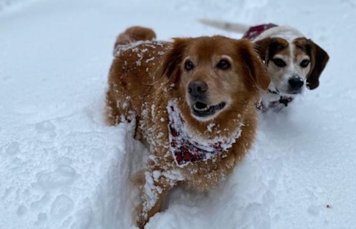 Die Ostküste bereitet sich auf einen heftigen Sturm mit bis zu 30 cm Schnee vor