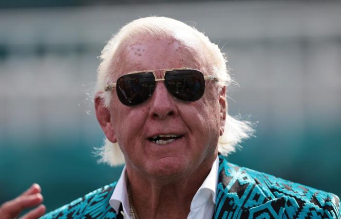 Ric Flair will 2 Millionen Dollar zurück