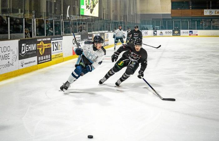 D1: Der Brest-Albatros scheitert im letzten Drittel gegen Tours