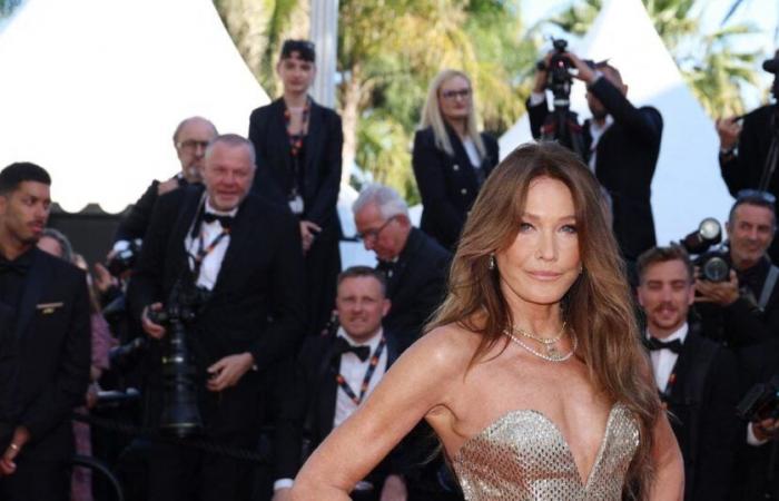 „Im Gegensatz zu Carla Bruni lasse ich keine Mahlzeiten aus“: Diese Persönlichkeit verteidigt „zusätzliche Pfunde“