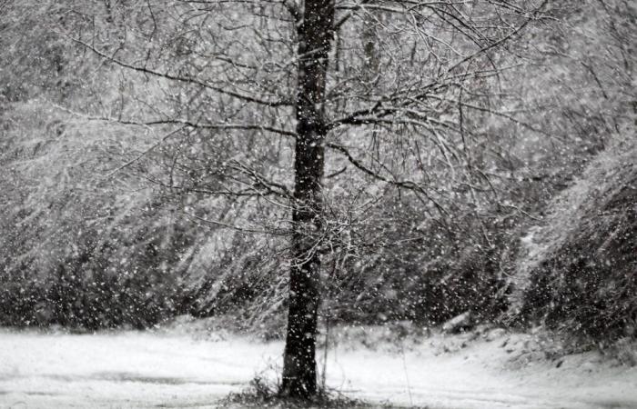 Die Präfektur warnt vor starkem Schneefall ab Sonntag