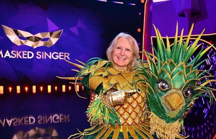 Gewinner von “The Masked Singer” 2024: Promis im Finale enthüllt