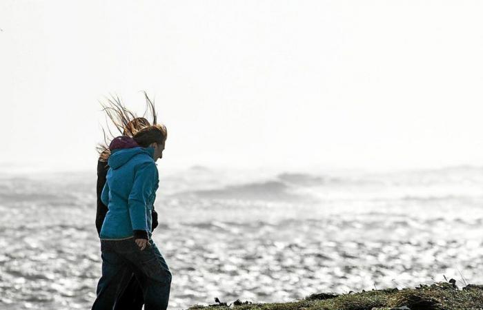 Heftige Windböen: Ille-et-Vilaine und Côtes-d’Armor am Sonntag in Alarmstufe Orange