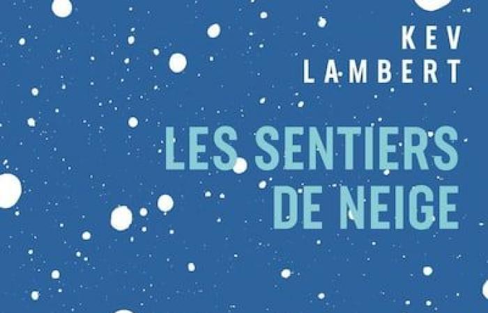 Hier sind 10 Quebec-Bücher, die Sie unter den Weihnachtsbaum legen können