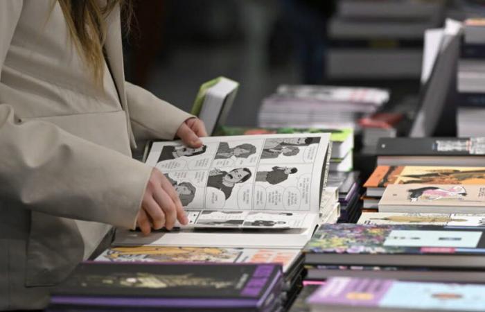 Loire und Haute-Loire. Welche Bücher unter den Baum legen? Ratschläge von örtlichen Buchhändlern