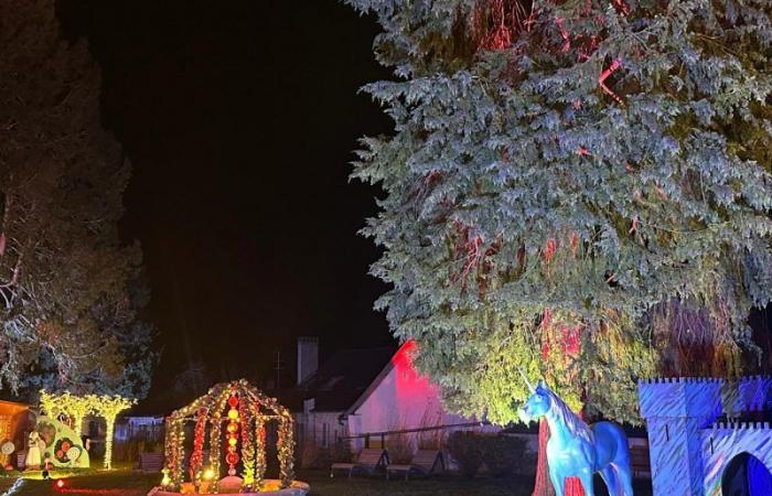 Mit seinem „Zauberwald“ verlängert Sundgau den Weihnachtszauber bis zum 5. Januar!