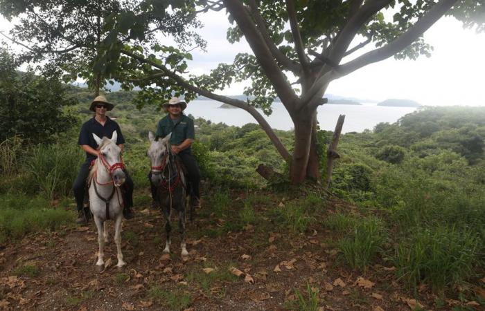 Costa Rica | Ein gut gestaltetes kleines Paradies