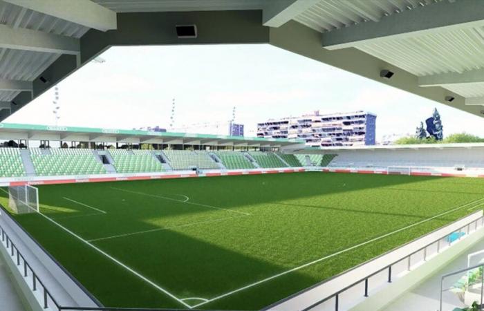 In 50 Jahren wurden in Belgien zwei Stadien gebaut: „Viele Vereine konzentrieren sich auf den Sportler, bevor sie sich auf die Organisation konzentrieren“