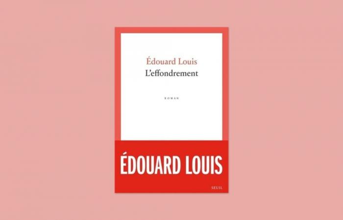 Rezension des Romans „Der Zusammenbruch“ von Édouard Louis