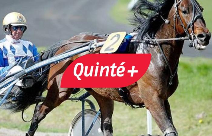 Quinté-Vorhersage des Tages (Samstag, 21. Dezember) in Paris-Vincennes: Prix d’Evreux, Quoten, Favoriten