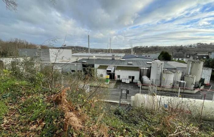 Saupiquet hat an diesem Freitag seine Fabrik in Quimper geschlossen. Die Region und QBO sagen, dass sie die Mitarbeiter unterstützen