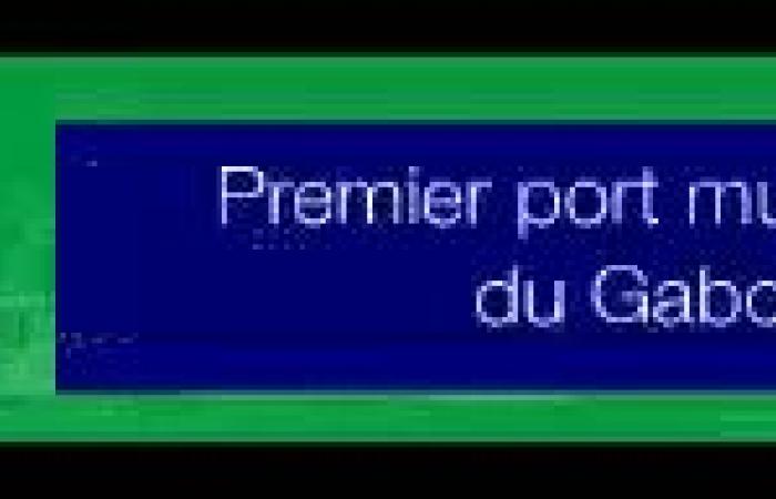 Kampf gegen HIV: 194 CD4- und Viruslast-Gutscheine verteilt | Gabonmediatime.com