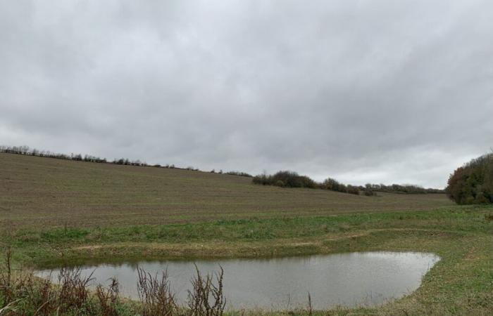 Eine Entwicklung, um Regenwasser zurückzuhalten und Überschwemmungen in diesem Dorf im Département Seine-Maritime zu vermeiden