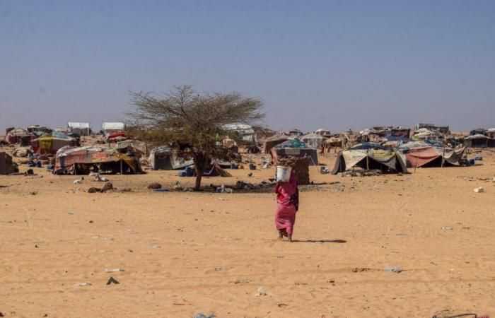 In Mali sind bei Angriffen, die Dschihadisten zugeschrieben werden, im Zentrum des Landes mindestens zwanzig Menschen ums Leben gekommen