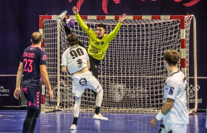 Handball. Ein Unentschieden mit dem Beigeschmack einer Niederlage vor den Feiertagen für Pau-Billère