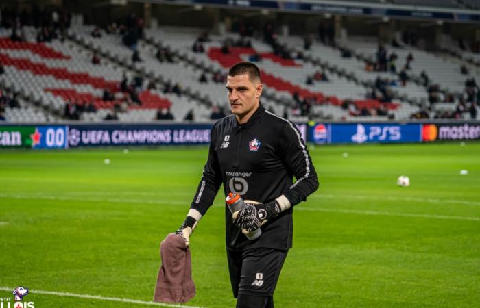 Aïssa Mandi (LOSC): „Vito Mannone ist ein großartiger Profi“ | Aïssa Mandi (LOSC), Bewohnerin der kleinen Lille: „Vito Mannone ist ein großartiger Profi“