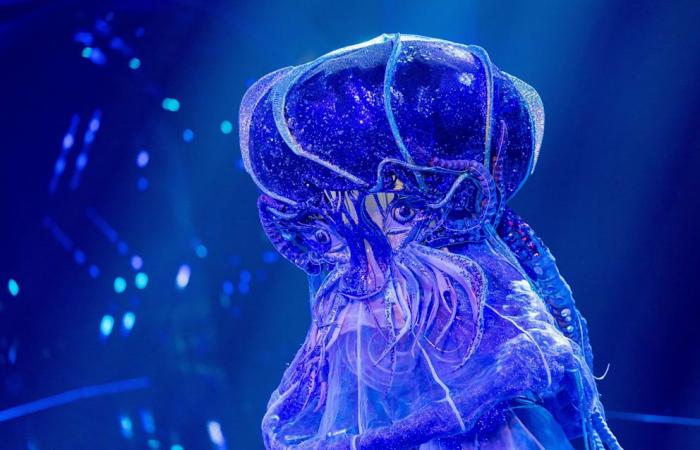 „The Masked Singer“-Finale: Welche Promis hinter den Masken stecken | Unterhaltung