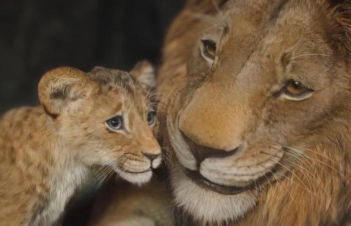 Mufasa: Der König der Löwen: Die wichtigsten Hinweise auf das Franchise „Der König der Löwen“ | M.A.G.