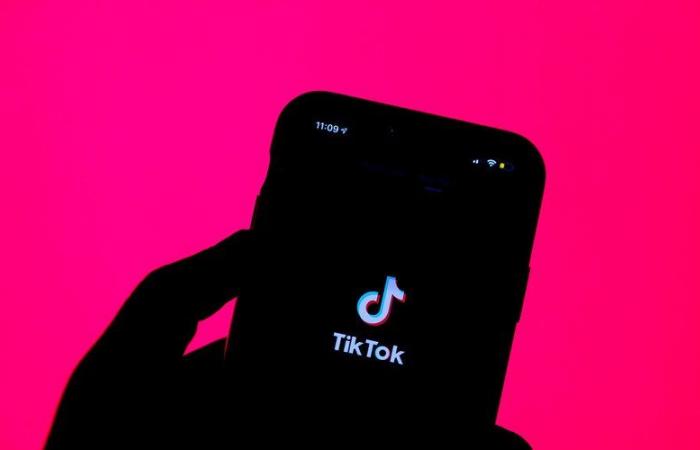 „TikTok ist der Nachbarschaftsschläger“, nach dem Tod eines 14-jährigen Teenagers kündigt Albanien ein einjähriges Verbot der Anwendung an