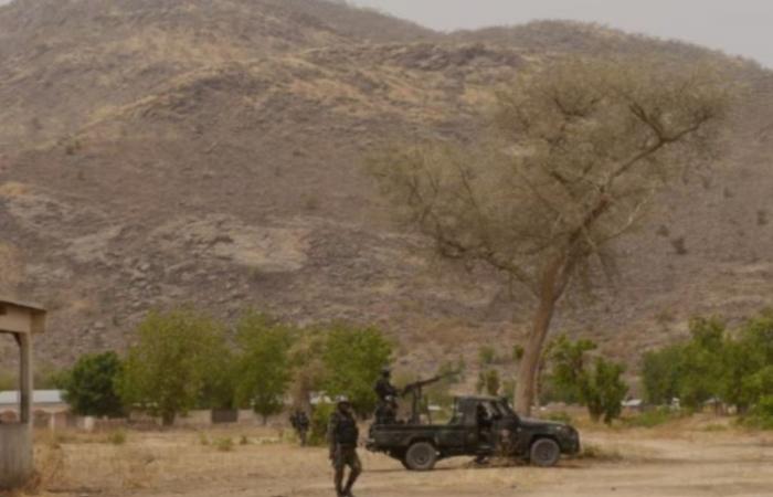 Kamerun: 10 Dschihadisten bei einem Angriff auf die regionalen Streitkräfte getötet