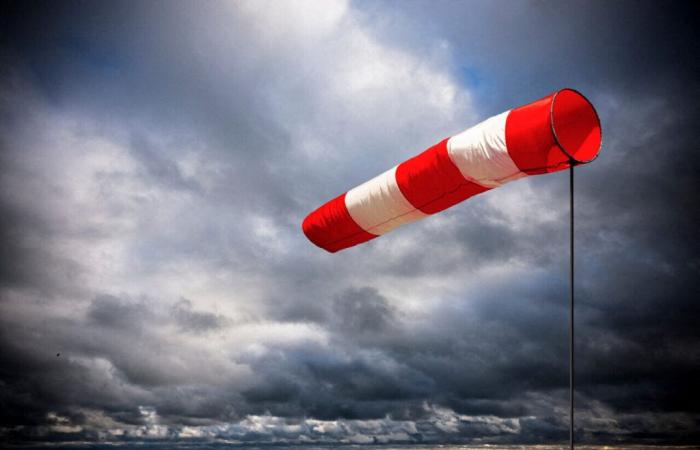 Sturm Enol. Nord-Pas-de-Calais ist für diesen Samstag in Alarmbereitschaft, da heftige Winde vorhergesagt werden