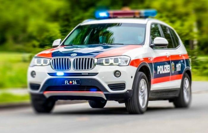 Tötungsdelikt am Rheindamm – Polizei sucht Zeugen